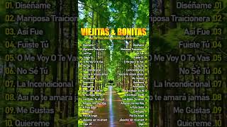 MUSICA BALADAS ROMANTICA EN ESPANOL DE 70 80 90🌹 1 Hora De Música Romántica Viejitas Pero Bonitas [upl. by Ybeloc]