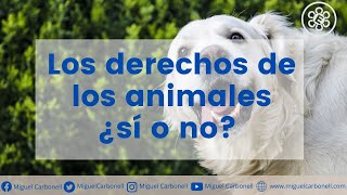 Los derechos de los animales ¿sí o no [upl. by Oicnoel614]