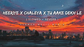 Heeriye X Chaleya X Tu aake dekh le  Slowed  Reverb  Prod slowedmusicworld [upl. by Witt]