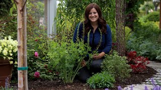 Planting Baptisia amp a Tour of the Cottage Garden 😍🌿 Garden Answer [upl. by Zaneta]