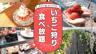 【日帰りバスツアー】スカイベリー や とちあいか 等 様々な品種のいちご狩りが楽しめる！日帰りバスツアーでも人気の観光農園「いちごの里 ファーム」をご紹介！ [upl. by Fleda535]