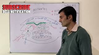 Mechanism of action of Nitrates [upl. by Christopher249]