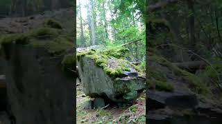 Entering the Cabinet Mountain Wilderness in Montana explore nature [upl. by Vas]