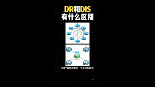 OSPF的DR和DIS什么区别 [upl. by Illom]