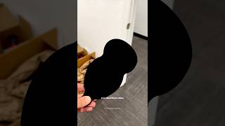 Worlds Darkest Black Color ⚫ sciencefacts [upl. by Etnauj429]