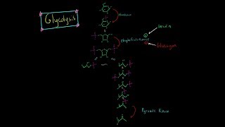 Glycolysis Pathway EVERYTHING YOU NEED TO KNOW BIOCHEMISTRY MCAT [upl. by Rebel]