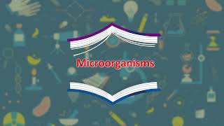 Food Spoilage Microorganisms II Explorer science Book8 II DigitalIndia220 [upl. by Jorry]