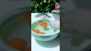 Mango  Longyin Poached Egg Is So Cute shorts youtube [upl. by Renfred243]