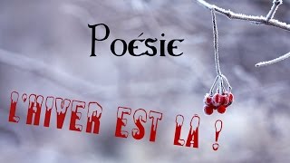 Poésie ⛄ Lhiver est là de Karine Persillet 🎄 [upl. by Markiv683]