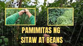 PAMIMITAS NG STIAW AT BEANS [upl. by Livvyy]