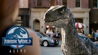 ALL DINOS FROM 2023 JURASSIC WORLD ALIVE [upl. by Ahasuerus]