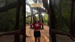 Exploring Aurovilleaurovilletravelpuducherryaurovillefrenchcolonsouthindiantamilviralvideo [upl. by Winny]