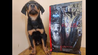 Drools focus puppy dry food review  Dont buy without watching this  Is it Worthy [upl. by Sirraf952]