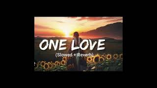 ONE LOVE  SLOWED  REVERB SHUBH [upl. by Box]