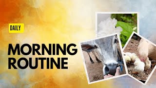 Daily Morning Routine 🌝💚💫 farming morning animals pennin vivasayam agriculture happiness [upl. by Ayila]