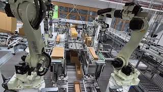 The Future of RightSized Packaging with Packaging Robots [upl. by Ahtimat]