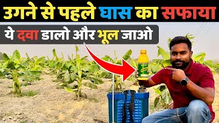 खेतों में खरपतवार उगने से पहले ही सफाया Pendamethalin 30 EC Best Herbicide for weed control [upl. by Euphemia]