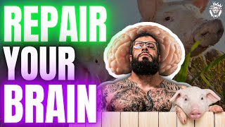 How to Repair Your Brain with Growth Hormones The Power of Cerebrolysin [upl. by Mohandas356]