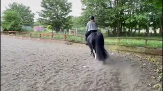 E riders  Intro B British Dressage [upl. by Spencer]