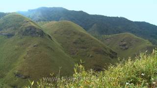 Dzukou Valley lies on the border of Nagaland and Manipur [upl. by Ladnik]