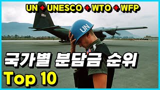 한국도 지갑을 열었다 각국의 국제기구 분담금 Top 10 [upl. by Elden]