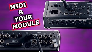 How MIDI Works With Electronic Drums  eDrums MIDI Basics amp Can You MIDI Expand Your Drum Module [upl. by Grew]