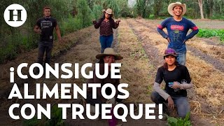 ¡El trueque aún existe Así funcionan las chinampas en Xochimilco con productos autosustentables [upl. by Irma]