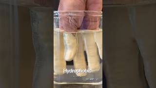 Hydrophobic liquid science shorts [upl. by Ferdinande]