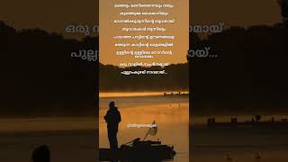 Unnikale oru kadha parayam nostalgia love lost music evergreenhits [upl. by Htide393]