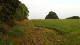 Parson russell terrier hunting training – bringing hare [upl. by Erkan268]