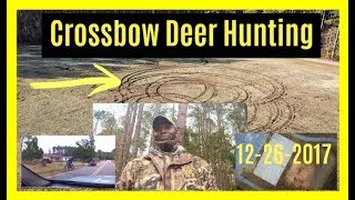 Crossbow Deer Hunting  Yet Another Ruined Hunt [upl. by Salvatore78]