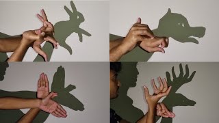 Hand Shadow Puppet Tutorial  Handicraft [upl. by Solenne614]