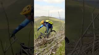 TWEED VALLEY  MTB in the Scottish Borders travel subscribe mtb scotland reel youtubeshorts [upl. by Creamer779]