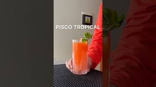 CÓCTEL PISSO TROPICAL cocktail drink shorts [upl. by Fiedling488]