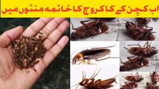 How To Kill CockRoaches  How To Kill Cockroaches  Get Rid Of Cockroaches [upl. by Bohon]