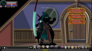 Aqw Epic Armour Combos [upl. by Kendyl]