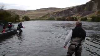 Deschutes River Steelhead Mouth 2009 [upl. by Llen]