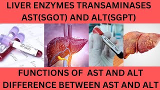 LIVER TRANSAMINASES AST SGOT AND ALTSGPTNORMAL RANGES FUNCTIONS AND CAUSES OF HIGH AST AND ALT [upl. by Carling]