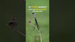 stock market for beginer  inspiration and motivation [upl. by Yrreg210]