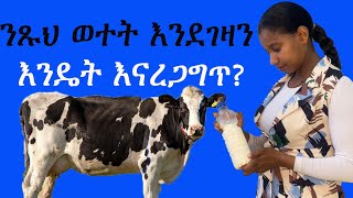 ወተት ውስጥ ባእድ ነገር እንዳልተጨመረበት እንዴት ማወቅ ይቻላል milkadulterationtestseshetumelesemeskelalcoholtest [upl. by Gherlein]