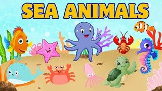 SEA ANIMALS  Learn Sea Animals for KIDS  Kids English Vocabulary  Kids Educational Video [upl. by Boleslaw]