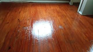 How to stain hardwood floors without sanding [upl. by Salakcin]