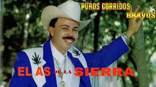 El As De La Sierra  Puros Corridos Mix 2020 [upl. by Nonnahs]