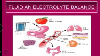 FLUID amp ELECTROLYTES  BALANCE  IMBALANCE [upl. by Kcirdek157]