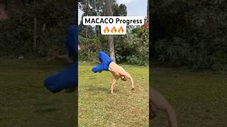 Amazing Macaco Progress over a few months [upl. by Dove]