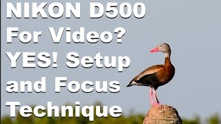 Nikon D200 features and review [upl. by Rocco]