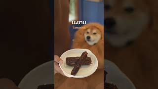 หมา กินได้ vs กินไม่ได้Ver ของสีน้ำตาล Ep1🤎woofyandco dogchefandthegang dogrecipes dog [upl. by Seaton]