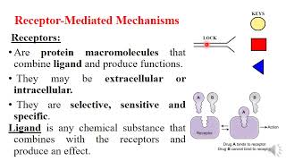 Drug receptor Interactions [upl. by Enyawud25]