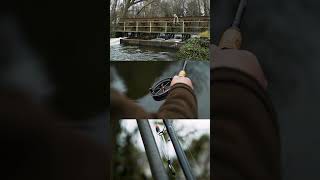 Catching Roach on the River Avon [upl. by Henrique]