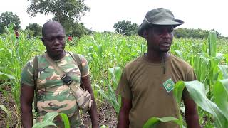 CLARIFITogo Restauration de 200 hectares de terre en arbres fruitiers et agroforestiers à Agokpo [upl. by Aihk734]